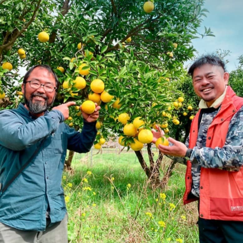 2024 あやてらす Aya Terrace 香月ワインズ 宮崎県綾町