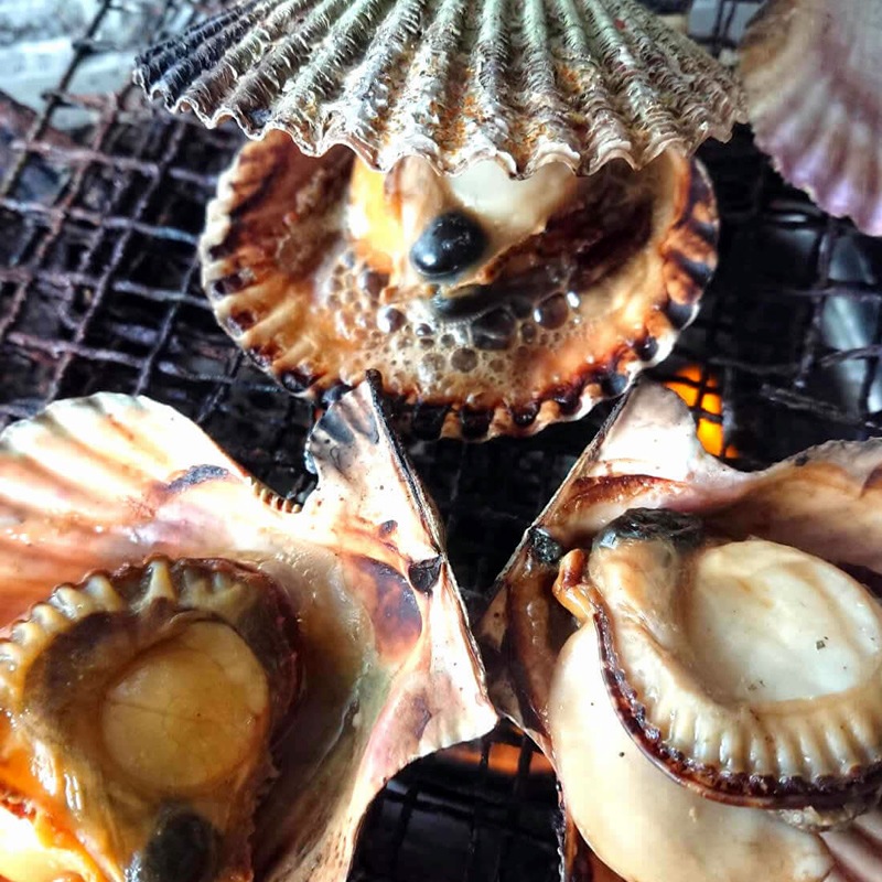 ひおうぎ貝 | 貝類 | さじべ屋オンラインショップ