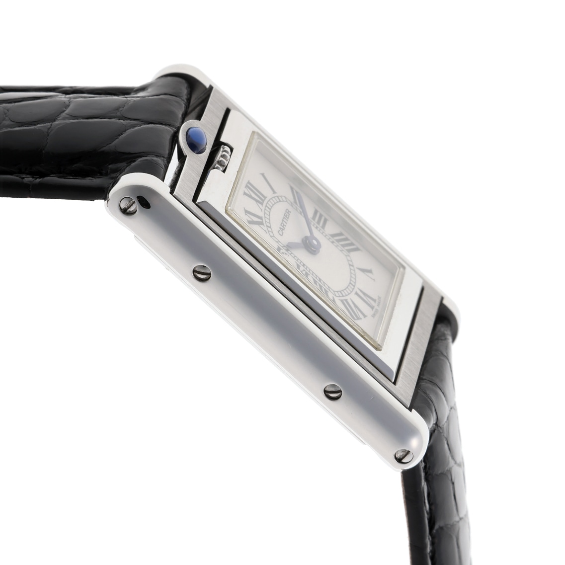 【1990年代】タンクバスキュラント SM Ref.W10X1158