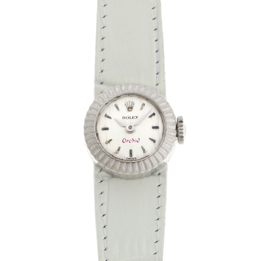 【1964年製】カメレオン オーキッド Ref.2059
