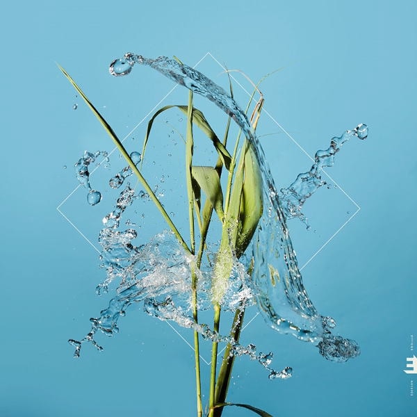 FERGUS MCCREADIE / STREAM