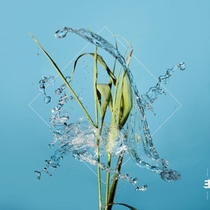 FERGUS MCCREADIE / STREAM