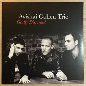 AVISHAI COHEN / GENTLY DISTURBED