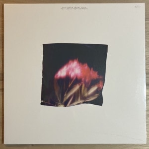 GIGI MASIN & JONNY NASH / POSTCARDS FROM NOWHERE