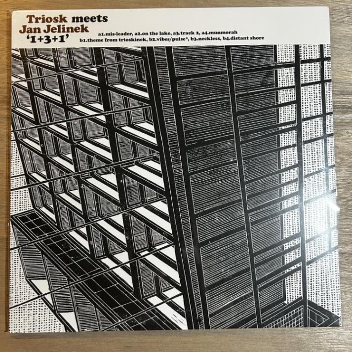 TRIOSK MEETS JAN JELINEK / 1+3+1