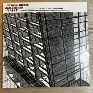 TRIOSK MEETS JAN JELINEK / 1+3+1