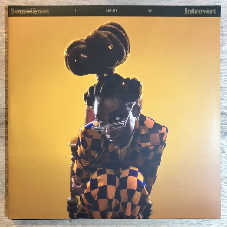 LITTLE SIMZ / SOMETIMES I MIGHT BE INTROVERT