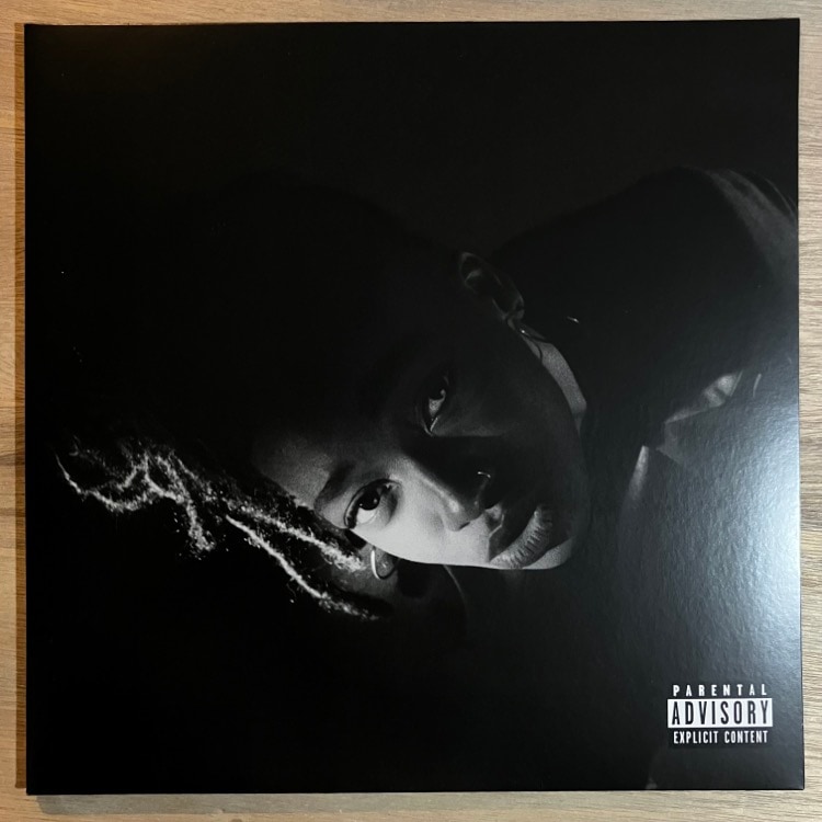 LITTLE SIMZ / GREY AREA