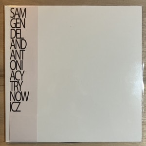 SAM GENDEL / LIVE A LITTLE