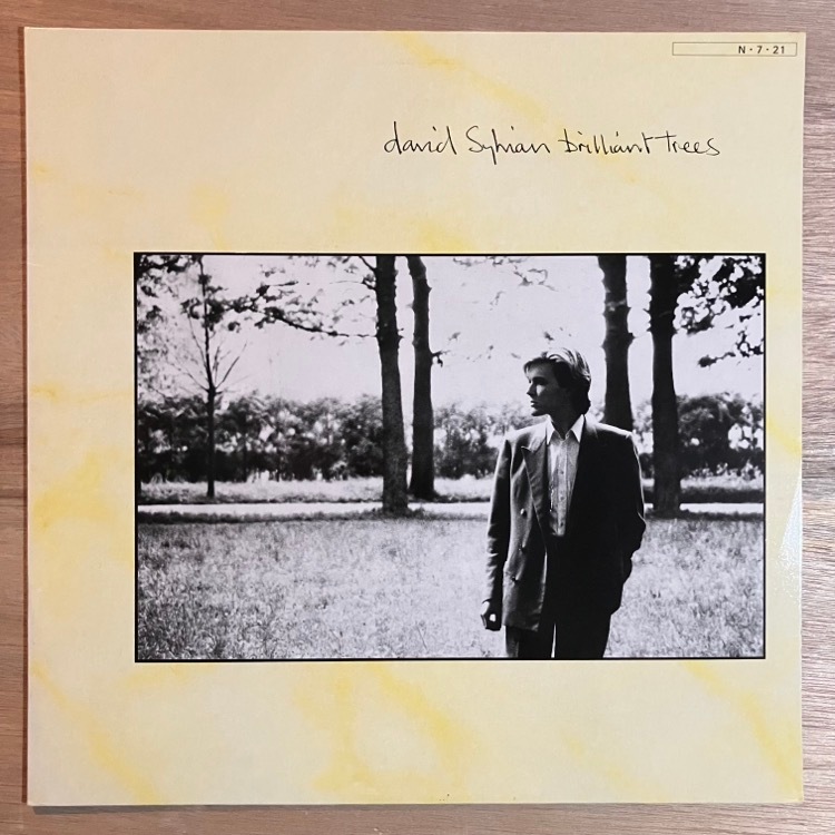 DAVID SYLVIAN / BRILLIANT TREES