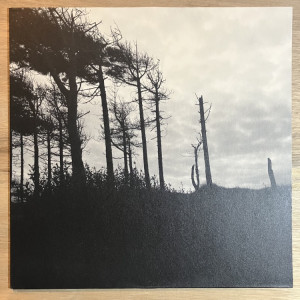DAKOTA SUITE & QUENTIN SIRJACQ / THE INDESTRUCTIBILITY OF THE ALREADY FELLED