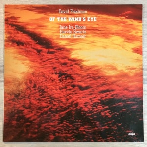 DAVID FRIEDMAN / OF THE WINDS EYE