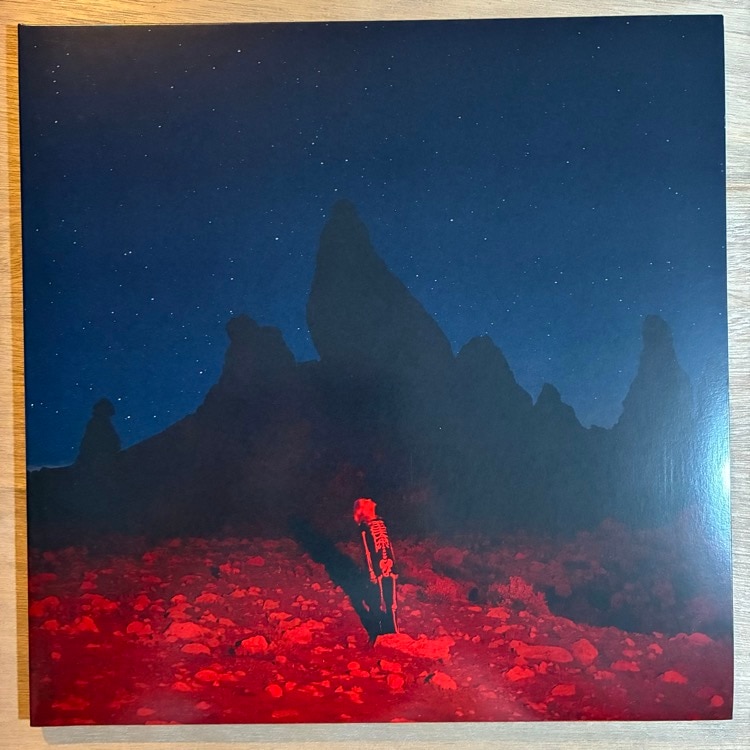 PHOEBE BRIDGERS / PUNISHER