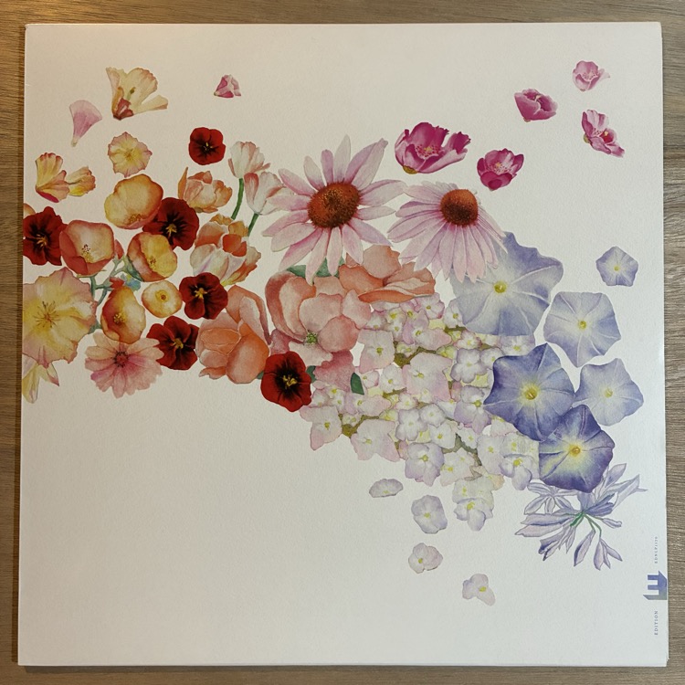 GRETCHEN PARLATO / FLOR