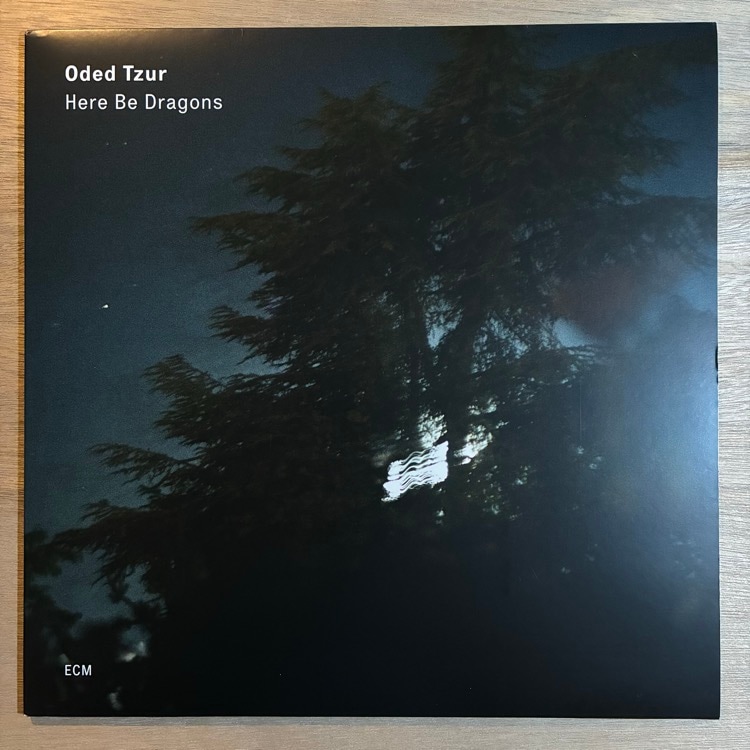 ODED TZUR / HERE BE DRAGONS