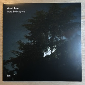 ODED TZUR / HERE BE DRAGONS