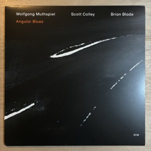 WOLFGANG MUTHSPIEL / ANGULAR BLUES