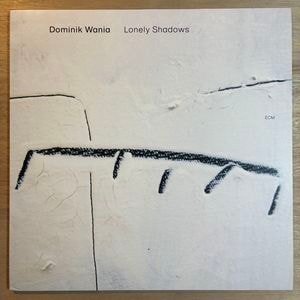 DOMINIK WANIA / LONELY SHADOWS