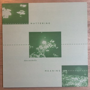 DAN NICHOLLS / MATTERING AND MEANING