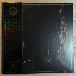 THUNDERCAT / IT IS WHAT IT IS