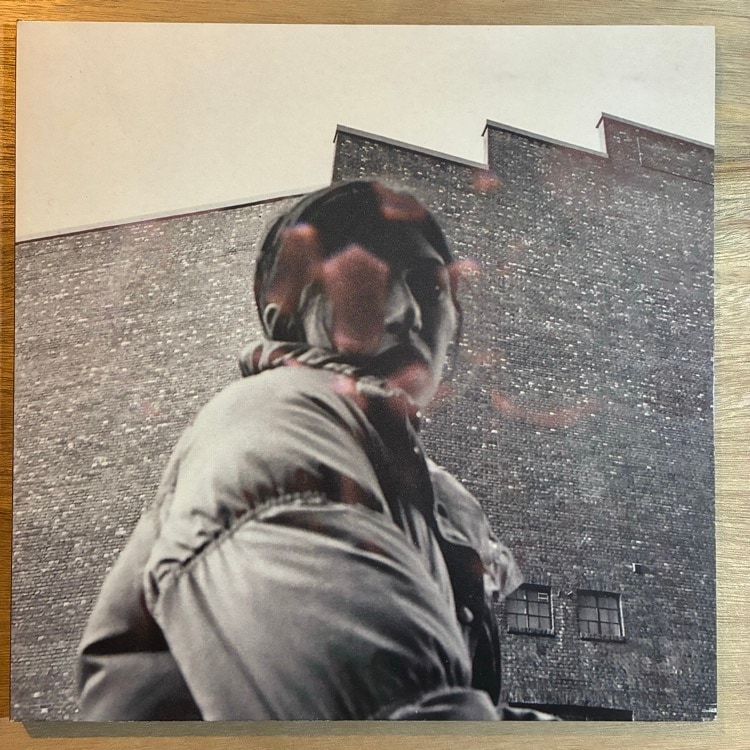 ALDOUS HARDING / WARM CHRIS