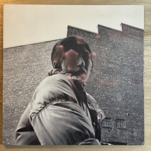 ALDOUS HARDING / WARM CHRIS