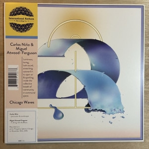 CARLOS NINO & MIGUEL ATWOOD-FERGUSON / CHICAGO WAVES