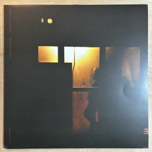 SACHAL VASANDANI & ROMAIN COLLIN / MIDNIGHT SHELTER