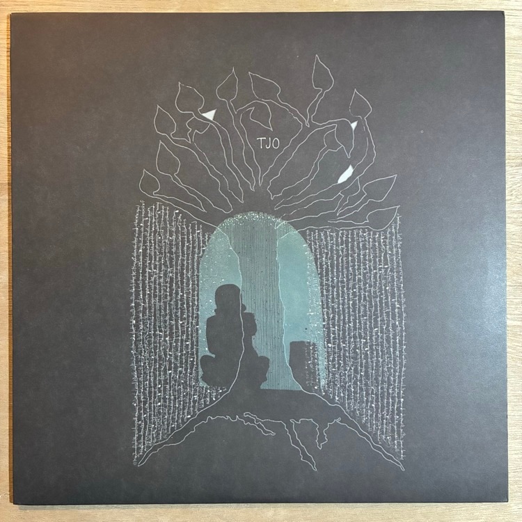 TARA JANE O'NEIL / A WAYS AWAY