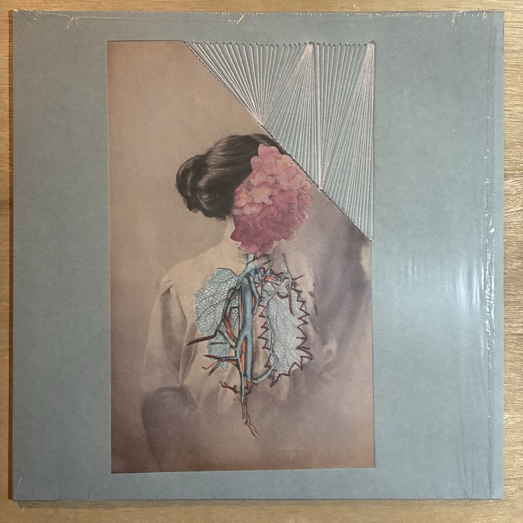 ������� / ˥��