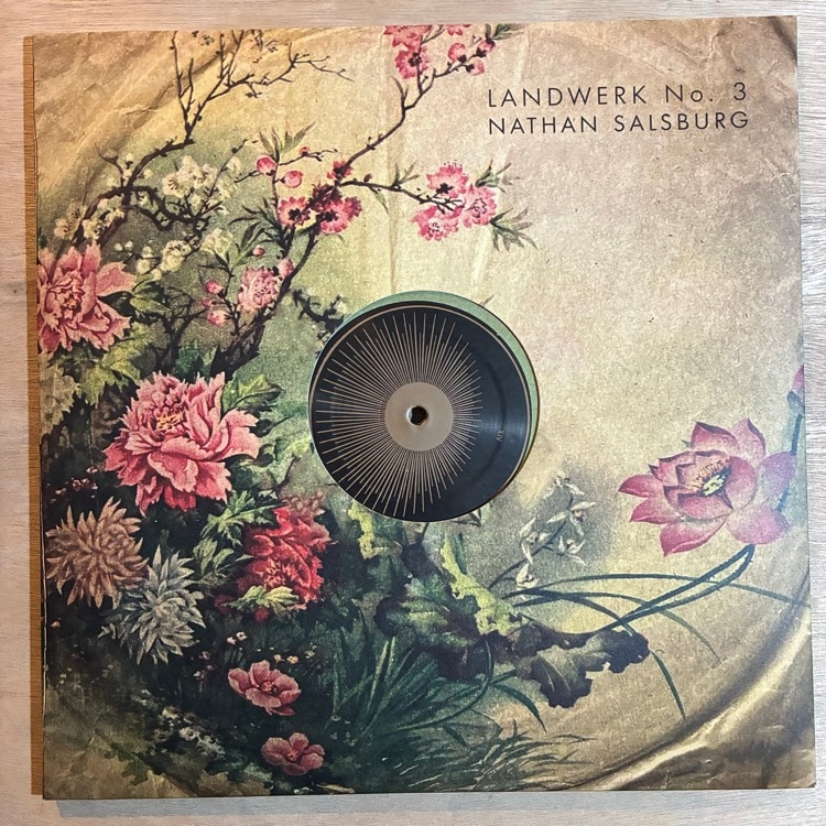 NATHAN SALSBURG / LANDWERK NO.3