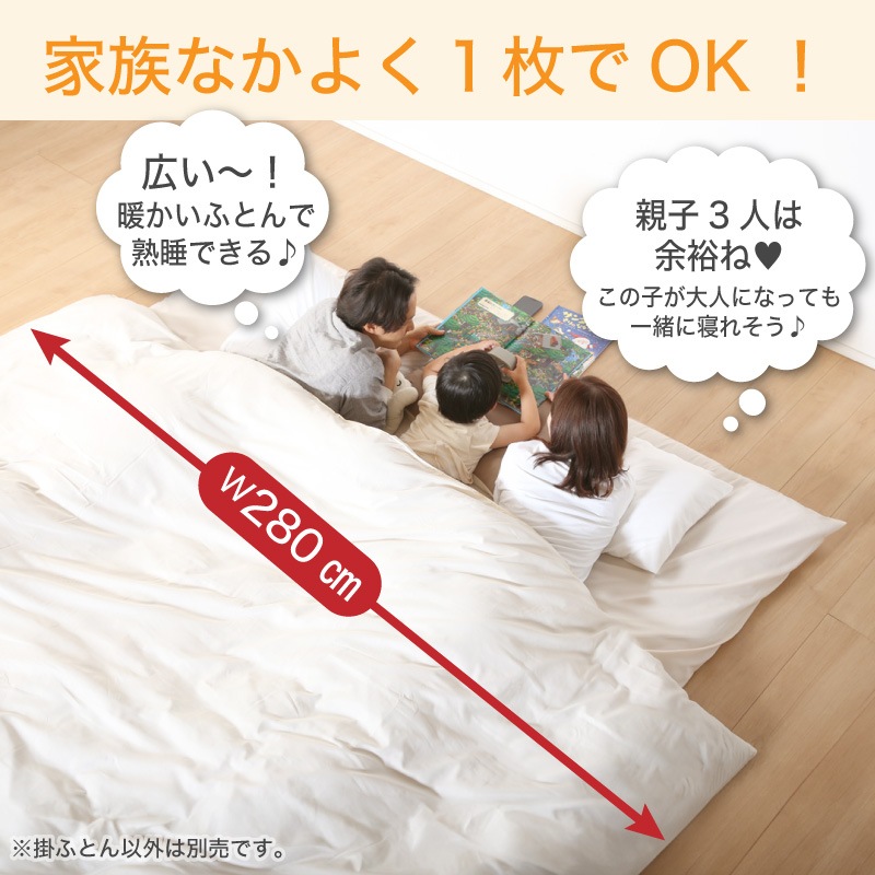 掛け布団 5点セット 海外クイーンサイズ Kasey 5 Piece Rever 掛け布団 5点セット 海外クイーンサイズ Kasey 5 Piece Rever 【公式通販】
