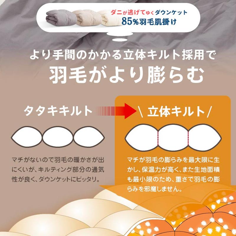 日本製 防ダニ ダニ防止 ダウンケット さよならダニ子 SL