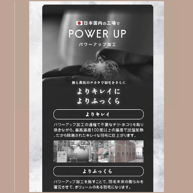 日本製 防ダニ ダニ防止 ダウンケット さよならダニ子 SL