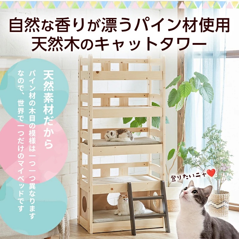 ペットベッド＆キャットタワー ウィリス ネコ家具 ペット家具 5段ベッド 天然木 無垢材 パイン