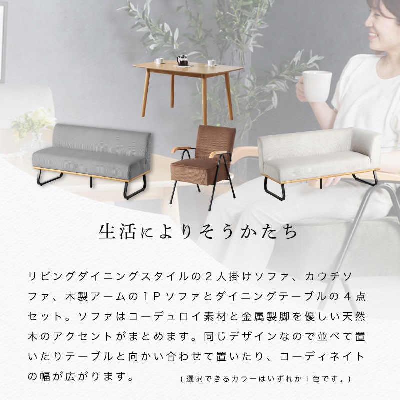 ゼファー4点セット1P+2P+カウチ+ノーザー