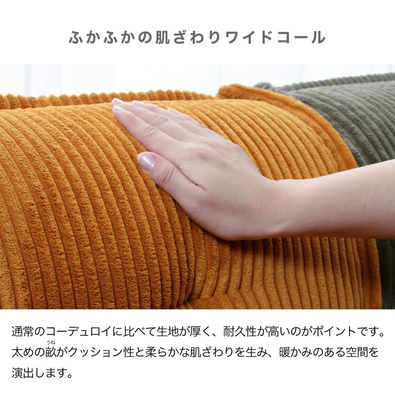 Norris ノリス システムフロアソファ 2点セット アンバーブラウン 新品 ノリス フロアソフ フロアソファ セット 単品 フロアソファー
