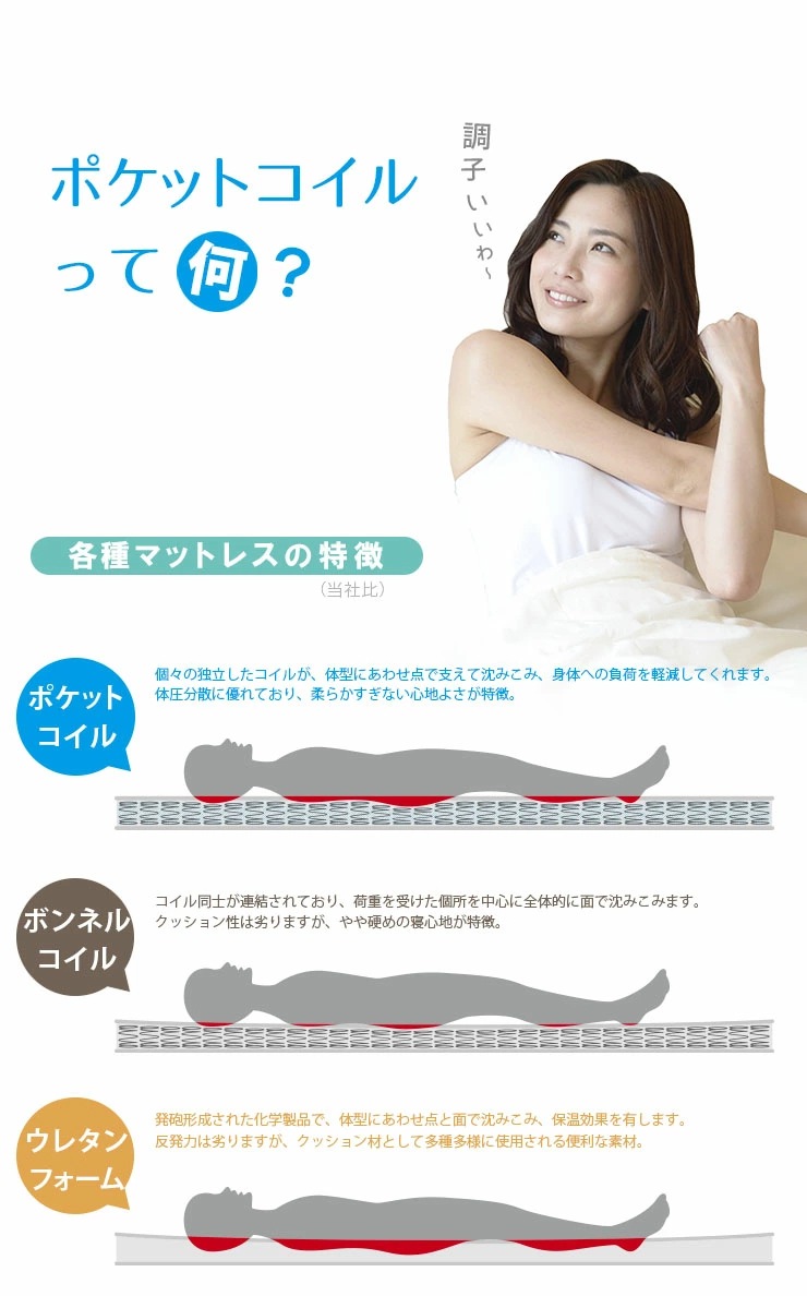 2段ベッド ラウンディ+薄型COZY 2枚 ロータイプ マットレスセット 耐荷重500kg