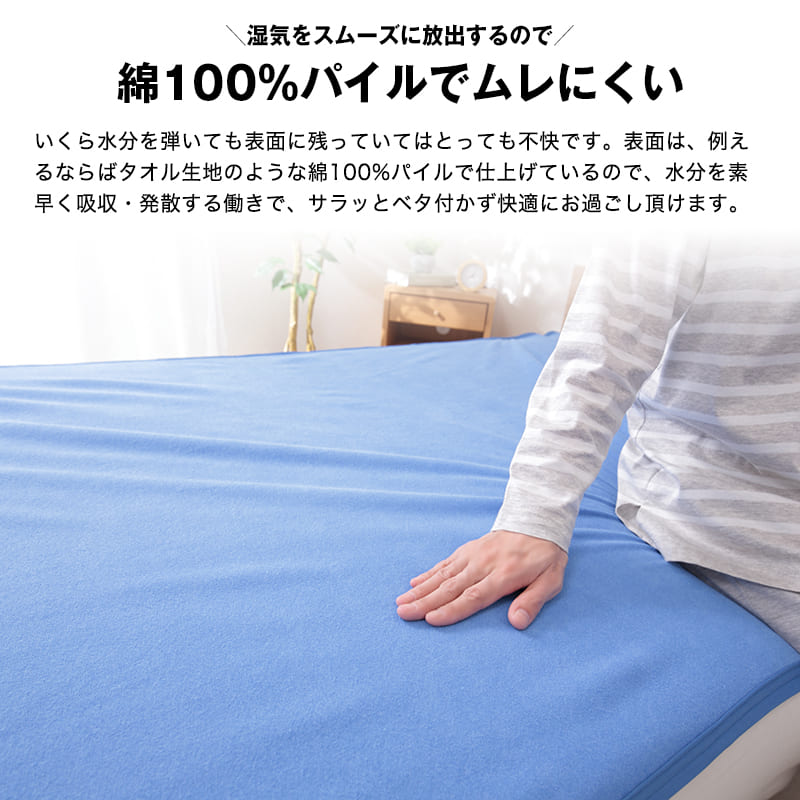 �ƥ����� ���󥸥���ե����� �ɿ奷���� ������ ���硼�ȥ�������70��100cm�� �ɿ奷���� �ɿ奷���� ���ͤ��祷���� ��� ������ �����å���֥� ������OK