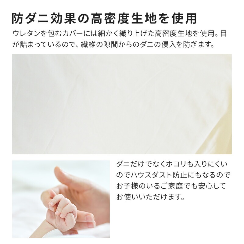 Ƭʬץե륦쥿ޤ󥰥ԥĹ3591cmɥ˥ץ֥ܥǥż