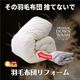 �������� �Ǥ�ľ�� ��ե����� �������� �դä������ �ץ�ߥ�������󥦥��å���<br>�ڱ������� �ݤ����� �Ǥ�ľ�� ��ե����� ­������ ��Ω��ľ�� ��Ω���ؤ� ���� ¦���ϸ� �դä��� �ܥ�塼����� ���󥰥� ���֥��