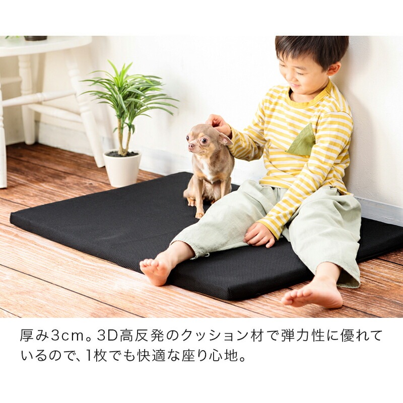 ��SIX AIR�� 3D��ȿȯ �ڥå��ѥ��å����M������ 65��90cm ����3cm ��å��奫�С� ���å��������� �� ǭ