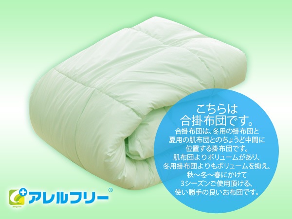 Araemax饨ޥåե꡼ݡýϻѥʻݤĥ󥰥륵ھý󥰥դȤĤ֤Ȥ󤫤դȤ󤫤Ĺ礤ݤġ