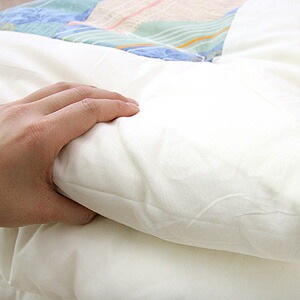 ����ʤ錄�ᥭ�����ʻ��Ѽ������ʤդȤ��³ݤ����ĥ��󥰥륵������������/�����륷�������б�����̵����