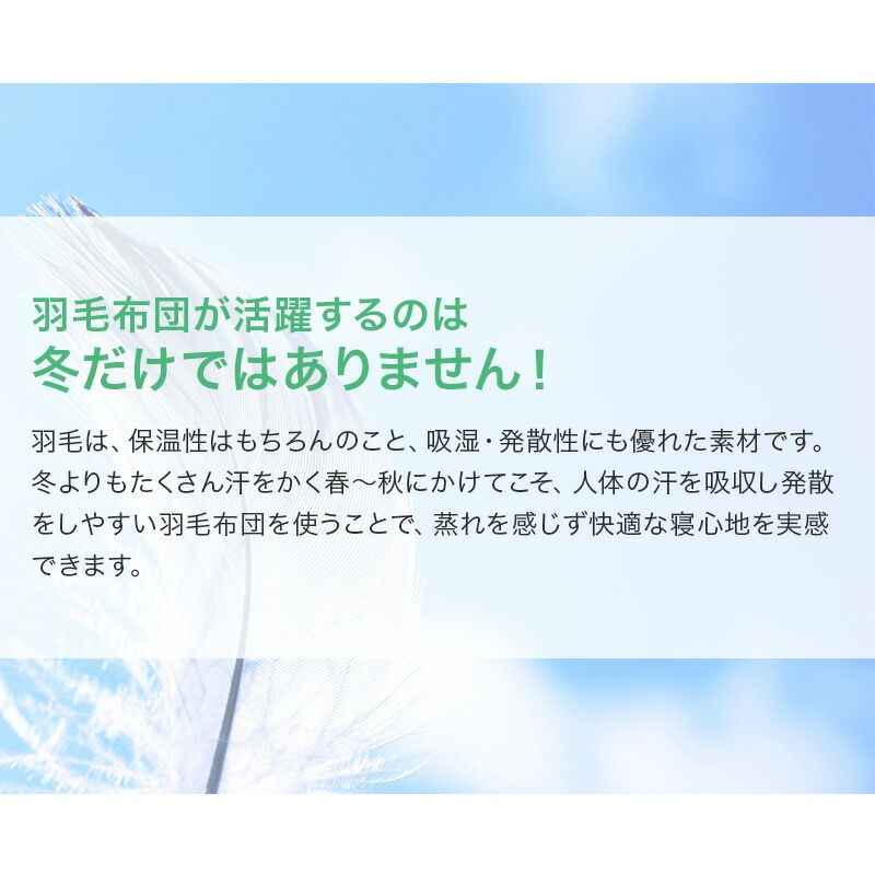 TTC���ӥ����륷����������ĥ�����70�󥷥󥰥�2���碌�����륷��������������������̵�ϥ֥롼�ϥԥ󥯷ϥ�����85%310dp����ƥ��󥰲ù����ӳݤ����ĳ�����ȩ�ݤ�