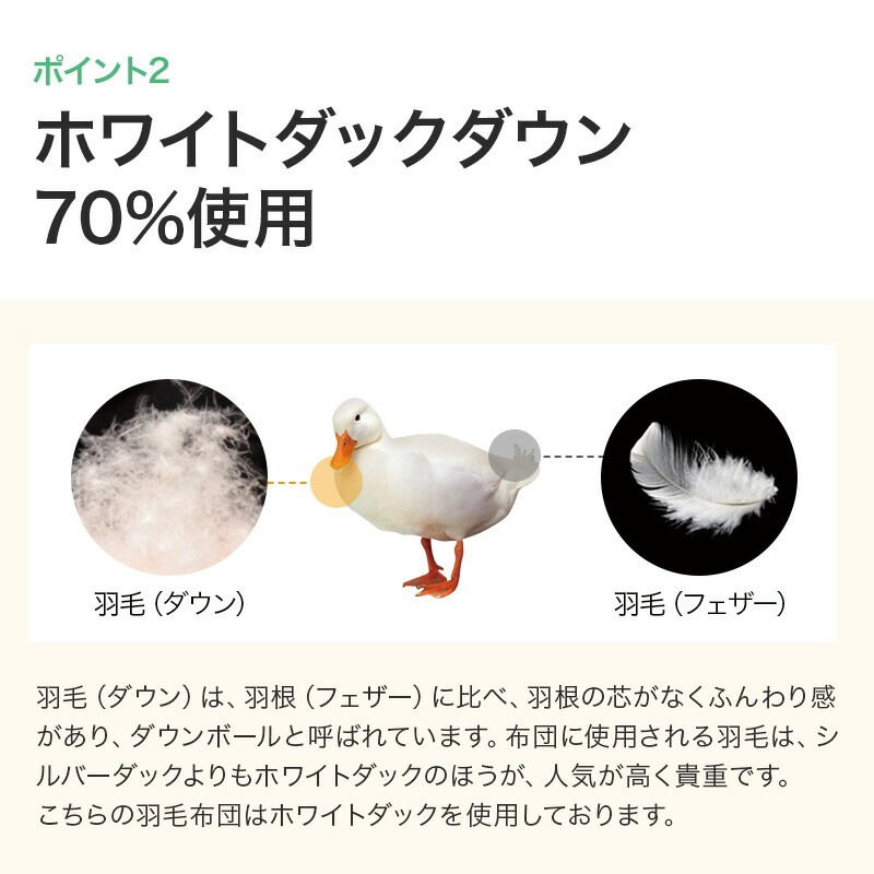 TTC���ӥ����륷����������ĥ�����70�󥷥󥰥�2���碌�����륷��������������������̵�ϥ֥롼�ϥԥ󥯷ϥ�����85%310dp����ƥ��󥰲ù����ӳݤ����ĳ�����ȩ�ݤ�