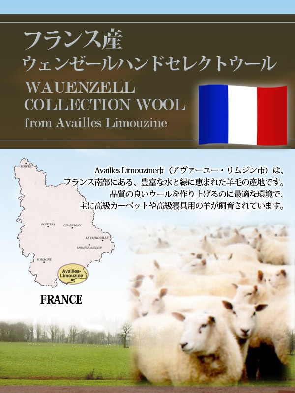 ���������ۥե�󥹥�����100������ȩ�ݤ����ĥ��󥰥륵������ȩ�������������ĥ������