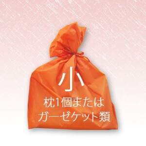 ���եȥ�åԥ󥰡ʾ��˥ץ쥼����Ѥˡ�