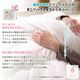 �ɥ������������ ���󥵥졼�� �ݤ����� ���󥰥� �ɥ��� ���� �ƥ����� ���ߥ��å�(R)�����������ʻ���   �ⵡǽ ���󥵥졼�� ����ȥ���� ������ ���󥵥졼�� ���� ������ ���󥰥륵����  ���� ���ä��� ���������� ����