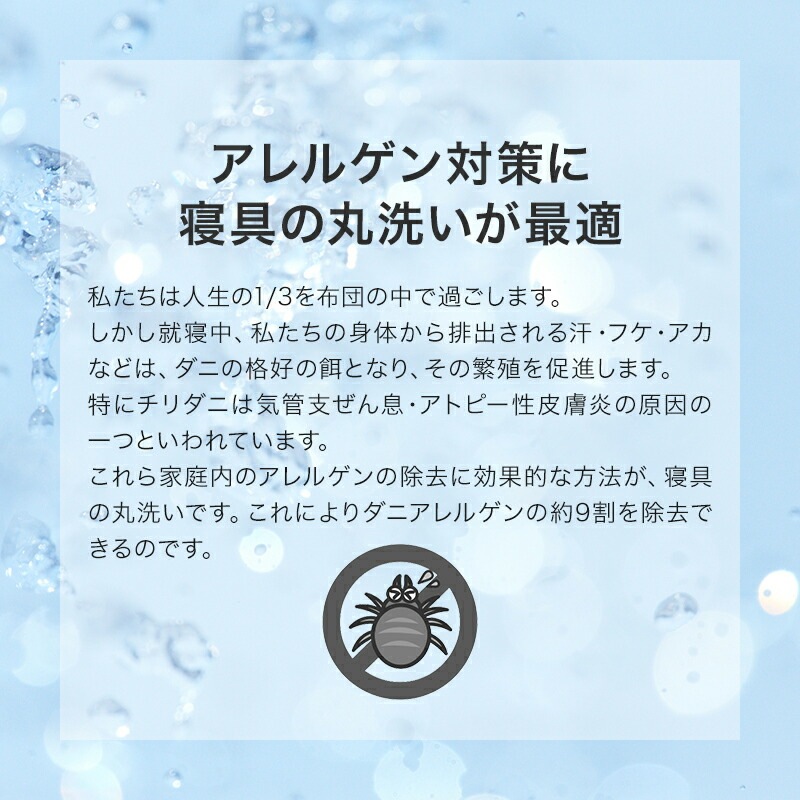 �ۥƥ�ǥ����������ԥ��������뱩����50��70cm�����������������ӱ��Ӥޤ��鱩���������ޤ��鱩���ԥ����ۥƥ���ͼ󤳤긪�����̲����